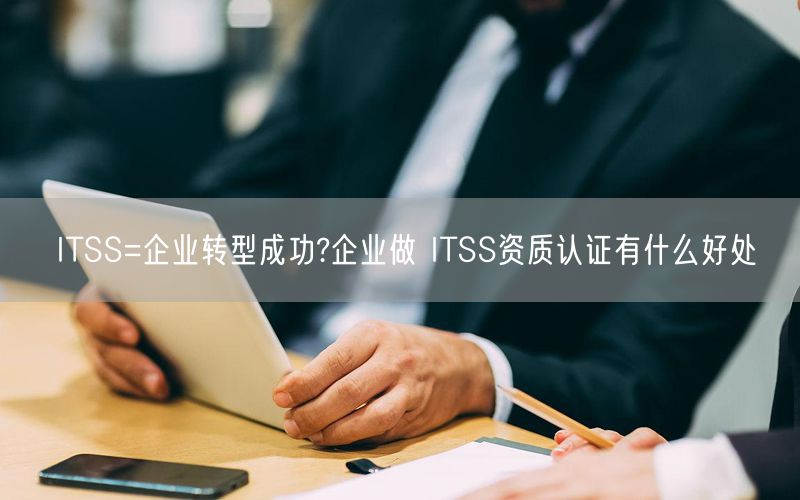 ITSS=企業轉型成功?企業做 ITSS資質認證有什么好處(8)