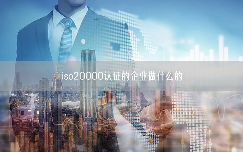 iso20000認證的企業做什么的(30)