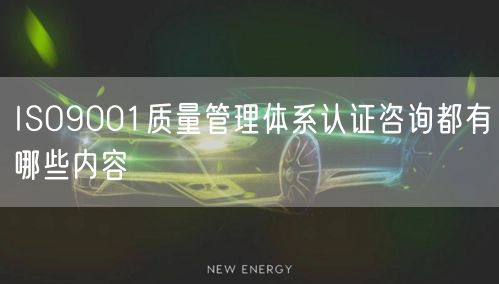 ISO9001質(zhì)量管理體系認證咨詢都有哪些內(nèi)容(8)