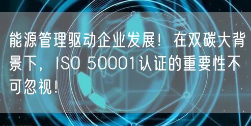 能源管理驅(qū)動(dòng)企業(yè)發(fā)展！在雙碳大背景下，ISO 50001認(rèn)證的重要性不可忽視！(6)